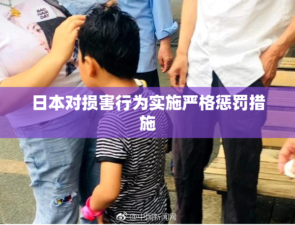 日本对损害行为实施严格惩罚措施