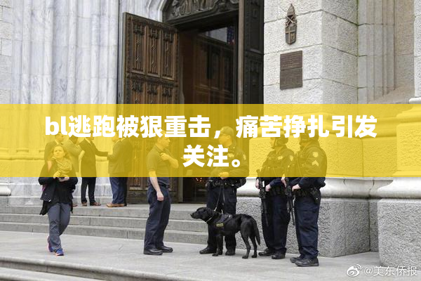 bl逃跑被狠重击，痛苦挣扎引发关注。