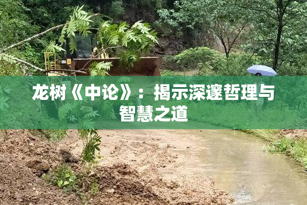 龙树《中论》：揭示深邃哲理与智慧之道