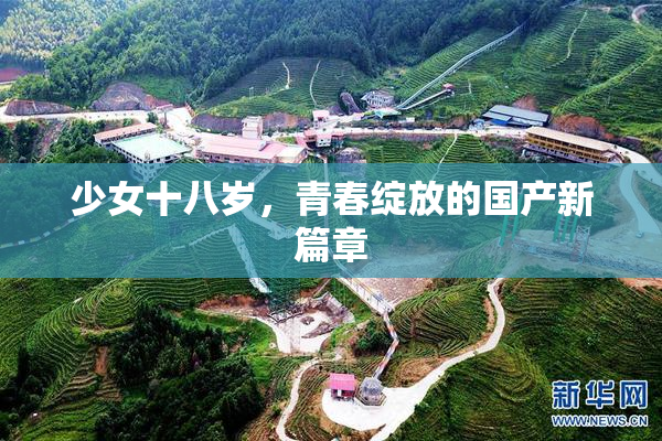 少女十八岁，青春绽放的国产新篇章