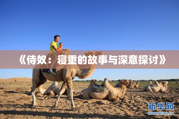 《侍奴：寝重的故事与深意探讨》