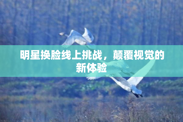明星换脸线上挑战，颠覆视觉的新体验
