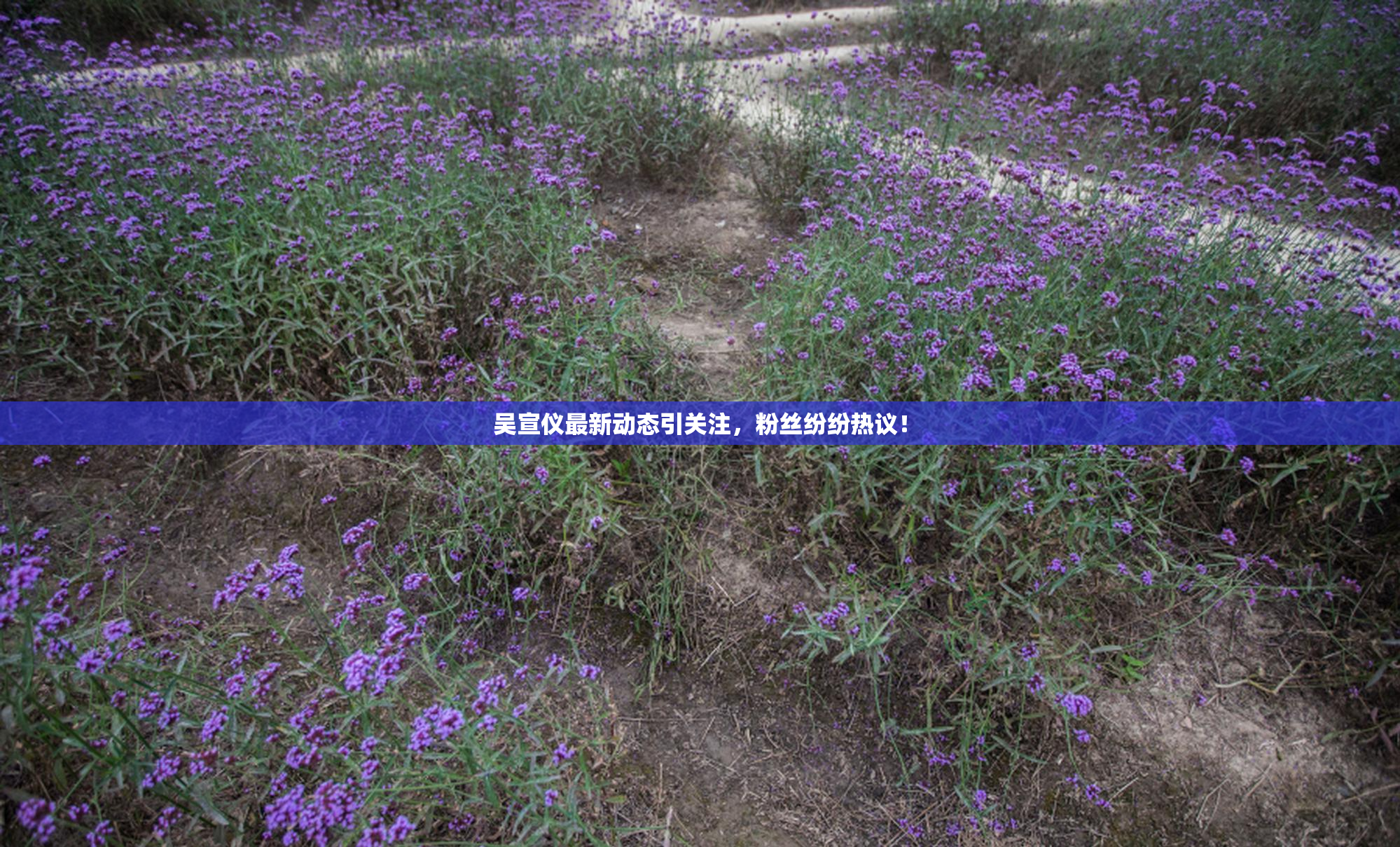 吴宣仪最新动态引关注，粉丝纷纷热议！