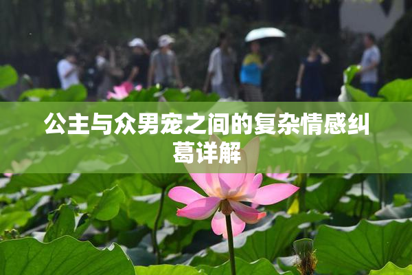 公主与众男宠之间的复杂情感纠葛详解