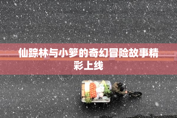 仙踪林与小箩的奇幻冒险故事精彩上线