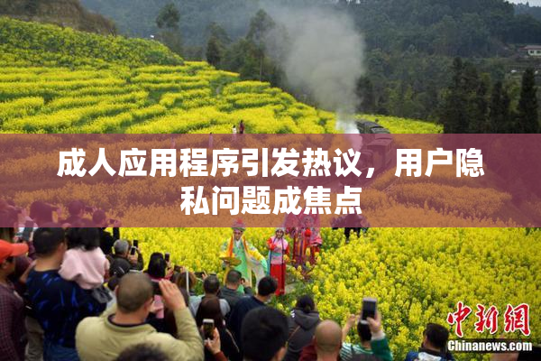 成人应用程序引发热议，用户隐私问题成焦点