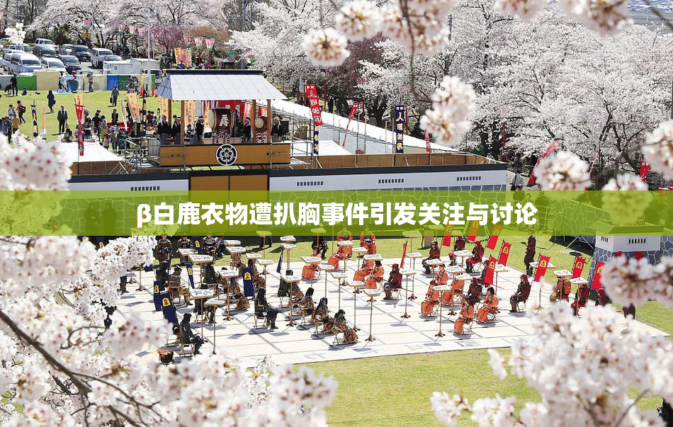 β白鹿衣物遭扒胸事件引发关注与讨论