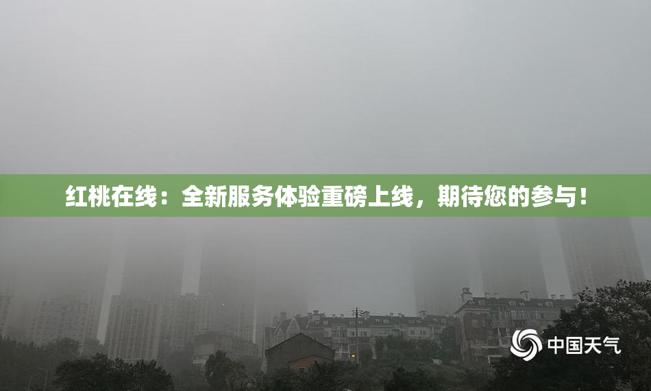 红桃在线：全新服务体验重磅上线，期待您的参与！