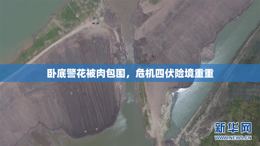 卧底警花被肉包围，危机四伏险境重重
