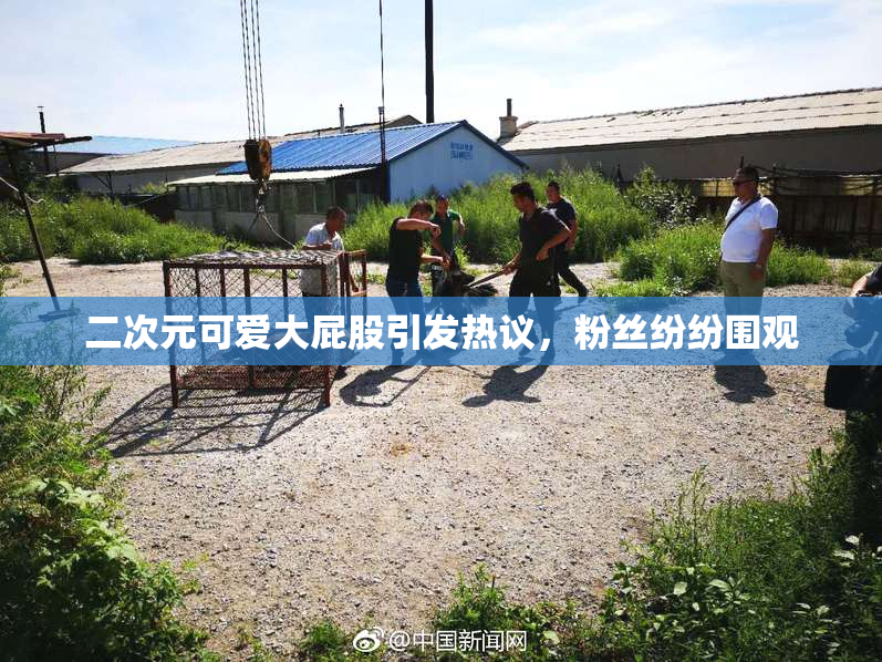 二次元可爱大屁股引发热议，粉丝纷纷围观