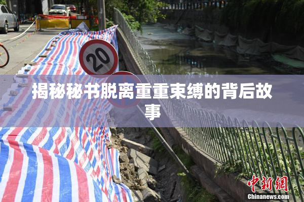揭秘秘书脱离重重束缚的背后故事