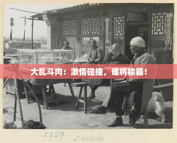 大乱斗肉：激情碰撞，谁将称霸！