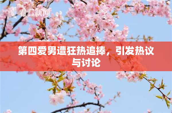 第四爱男遭狂热追捧，引发热议与讨论