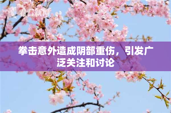 拳击意外造成阴部重伤，引发广泛关注和讨论