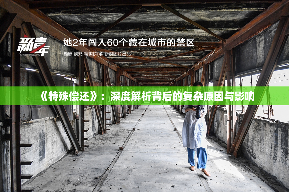 《特殊偿还》：深度解析背后的复杂原因与影响