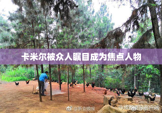 卡米尔被众人瞩目成为焦点人物