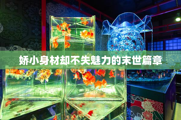 娇小身材却不失魅力的末世篇章