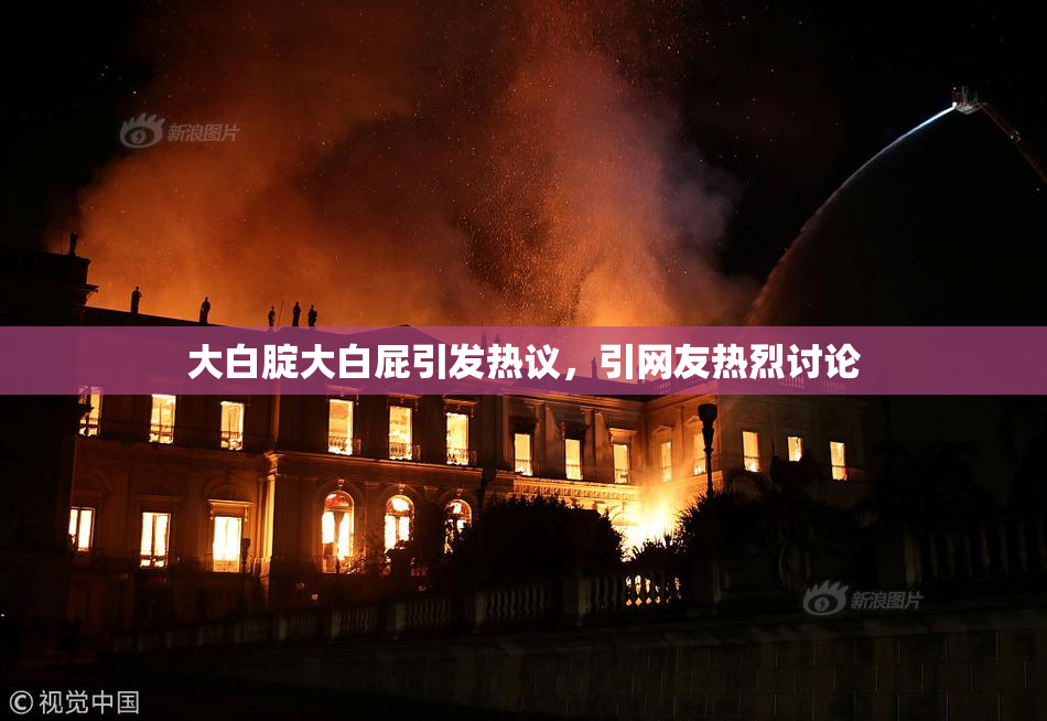 大白腚大白屁引发热议，引网友热烈讨论