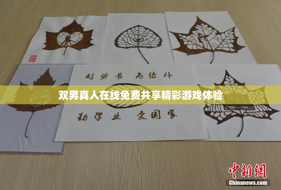 双男真人在线免费共享精彩游戏体验