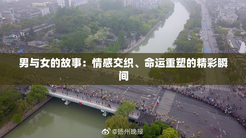 男与女的故事：情感交织、命运重塑的精彩瞬间