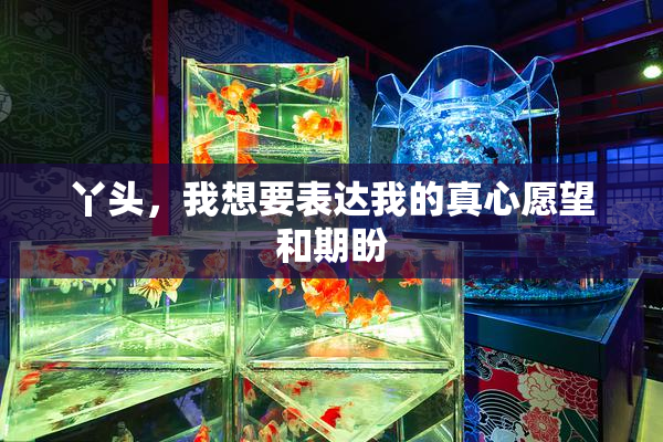 丫头，我想要表达我的真心愿望和期盼