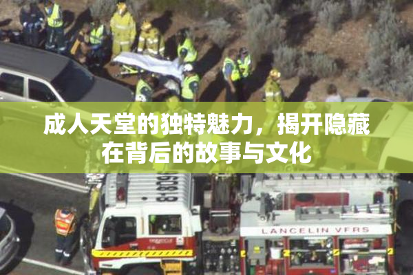 成人天堂的独特魅力，揭开隐藏在背后的故事与文化