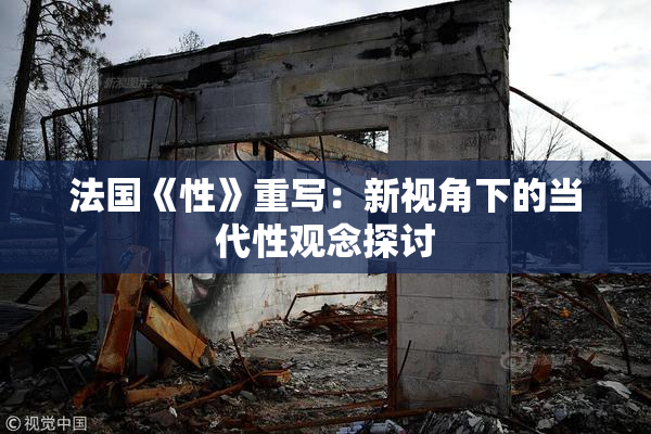 法国《性》重写：新视角下的当代性观念探讨