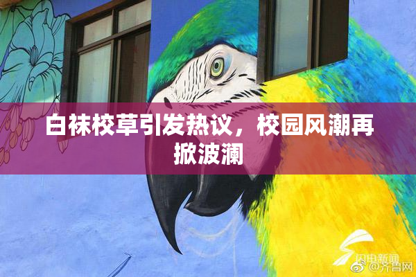 白袜校草引发热议，校园风潮再掀波澜