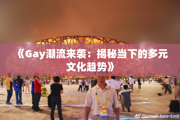《Gay潮流来袭：揭秘当下的多元文化趋势》