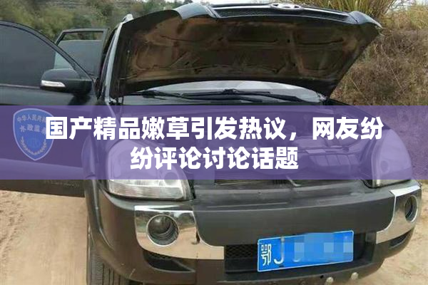 国产精品嫩草引发热议，网友纷纷评论讨论话题