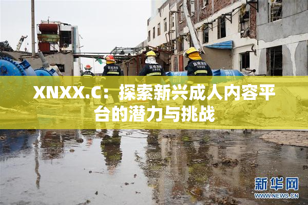 XNXX.C：探索新兴成人内容平台的潜力与挑战