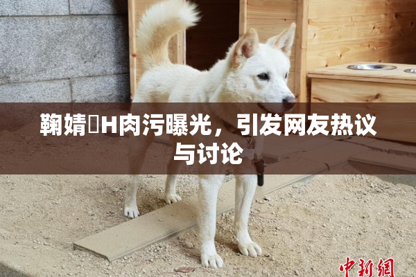鞠婧祎H肉污曝光，引发网友热议与讨论