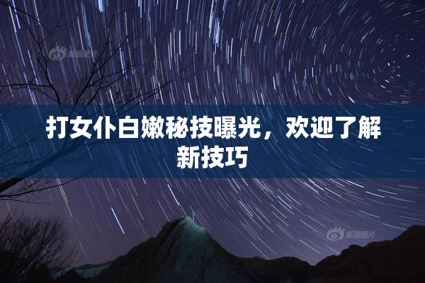 打女仆白嫩秘技曝光，欢迎了解新技巧