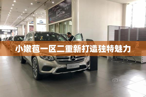 小嫩苞一区二重新打造独特魅力
