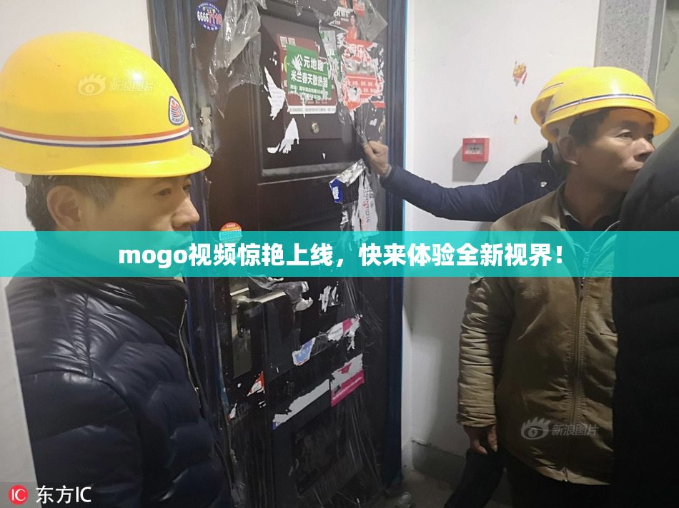 mogo视频惊艳上线，快来体验全新视界！
