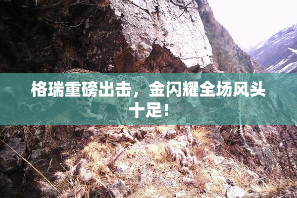格瑞重磅出击，金闪耀全场风头十足！