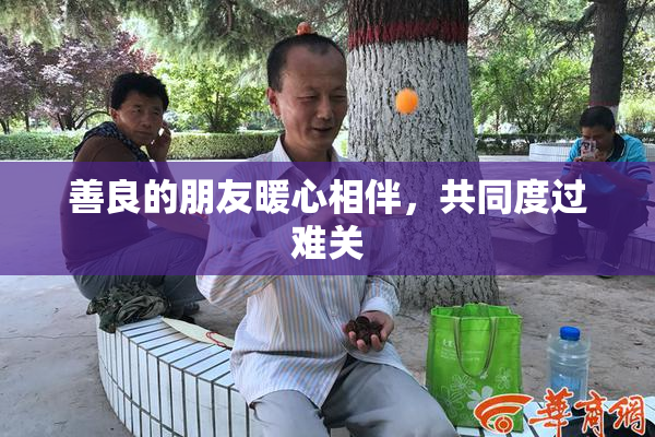 善良的朋友暖心相伴，共同度过难关