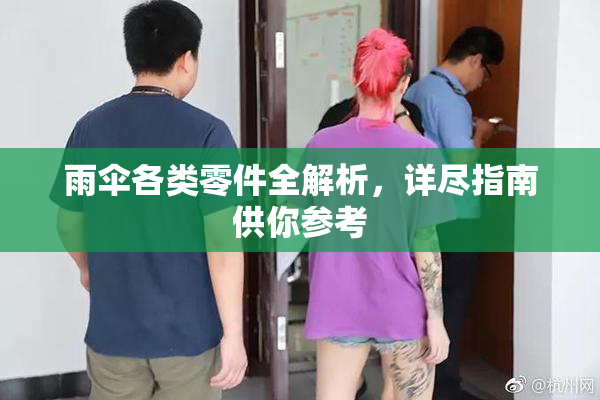 雨伞各类零件全解析，详尽指南供你参考