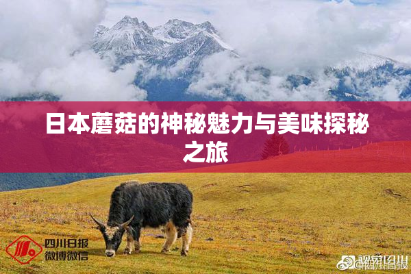 日本蘑菇的神秘魅力与美味探秘之旅