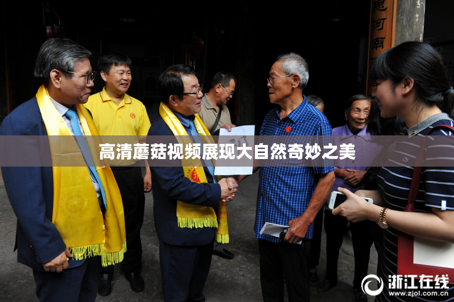 高清蘑菇视频展现大自然奇妙之美