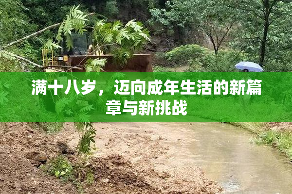满十八岁，迈向成年生活的新篇章与新挑战