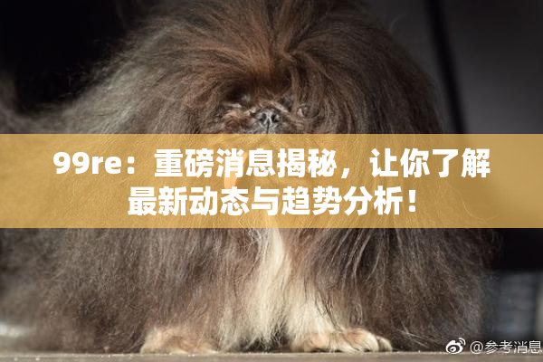 99re：重磅消息揭秘，让你了解最新动态与趋势分析！
