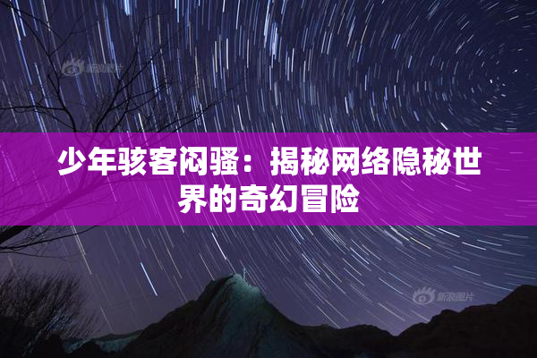 少年骇客闷骚：揭秘网络隐秘世界的奇幻冒险