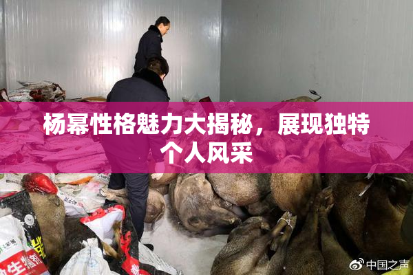 杨幂性格魅力大揭秘，展现独特个人风采