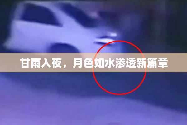 甘雨入夜，月色如水渗透新篇章