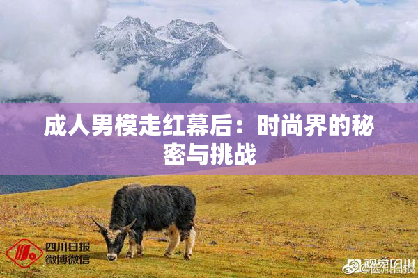 成人男模走红幕后：时尚界的秘密与挑战