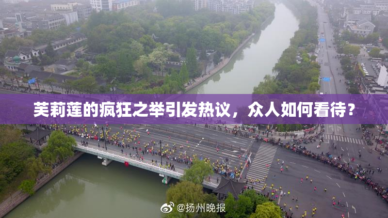 芙莉莲的疯狂之举引发热议，众人如何看待？