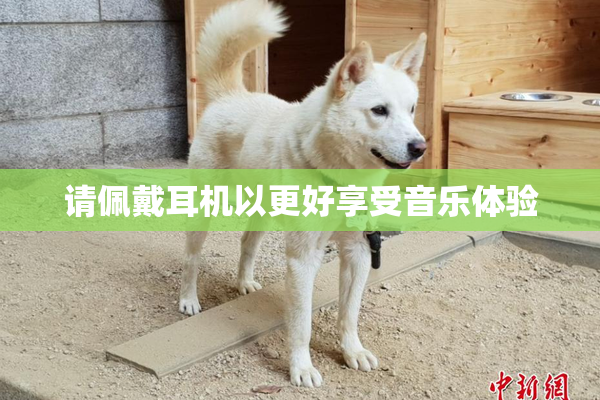 请佩戴耳机以更好享受音乐体验