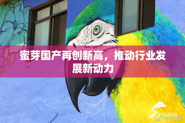 蜜芽国产再创新高，推动行业发展新动力