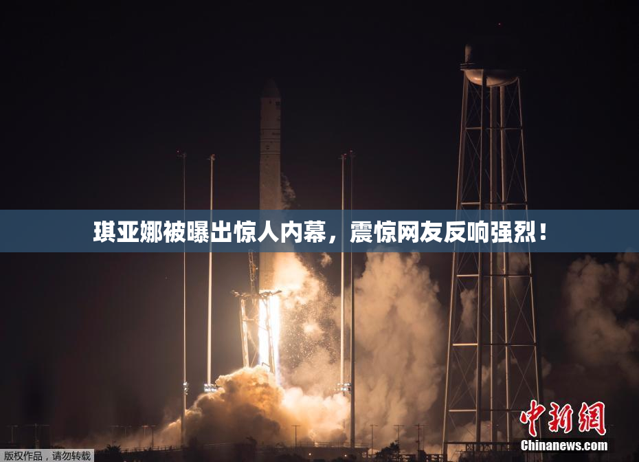 琪亚娜被曝出惊人内幕，震惊网友反响强烈！